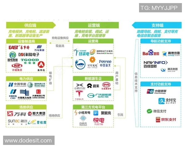 成都乒乓球队转型之路的挑战与机遇全景解析
