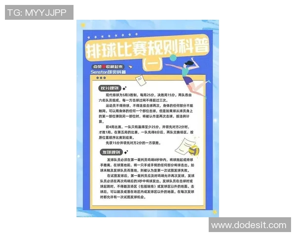 排球新手必看：从零基础到比赛高手的全面入门攻略