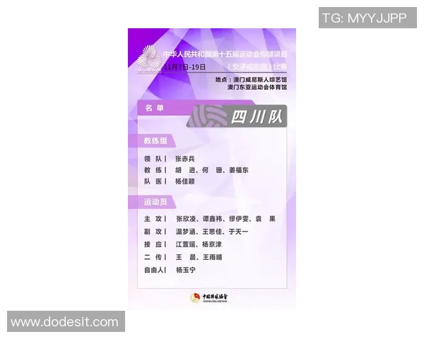 武汉排球队在全国排球团队协作排行榜中荣获第七名的佳绩分析