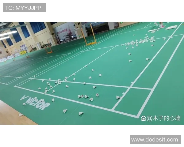 羽毛球的魅力与技巧揭秘：走进武汉羽毛球队的灵活训练与战术解析