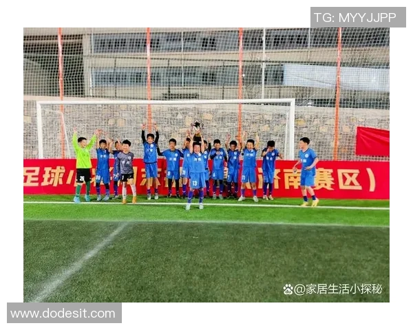 南京足球队挑战赛表现分析与状态评估探讨