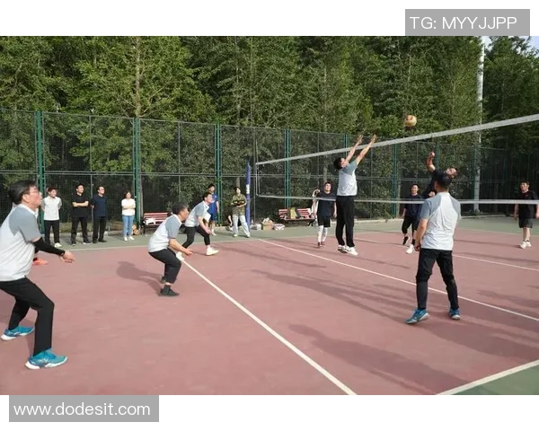 武汉排球队的精神探索与排球文化的深度融合之旅