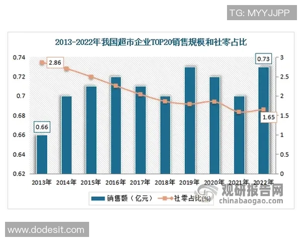 重庆羽毛球队的运营模式与发展策略深度分析