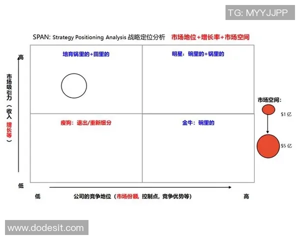 杭州网球队在杯赛中的团队协作表现分析与启示