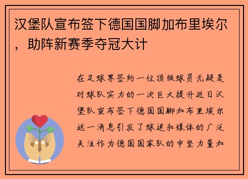 汉堡队宣布签下德国国脚加布里埃尔，助阵新赛季夺冠大计