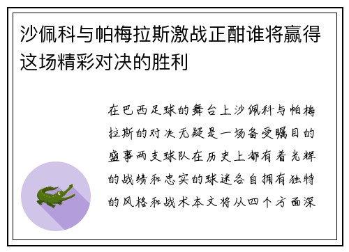 沙佩科与帕梅拉斯激战正酣谁将赢得这场精彩对决的胜利